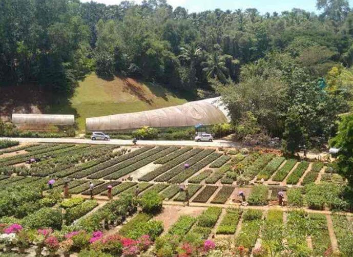 VK Botanical Garden, Kanyakumari, Tamil Nadu - Vushii.com VK Botanical Garden, Kanyakumari, Tamil Nadu - Vushii.com